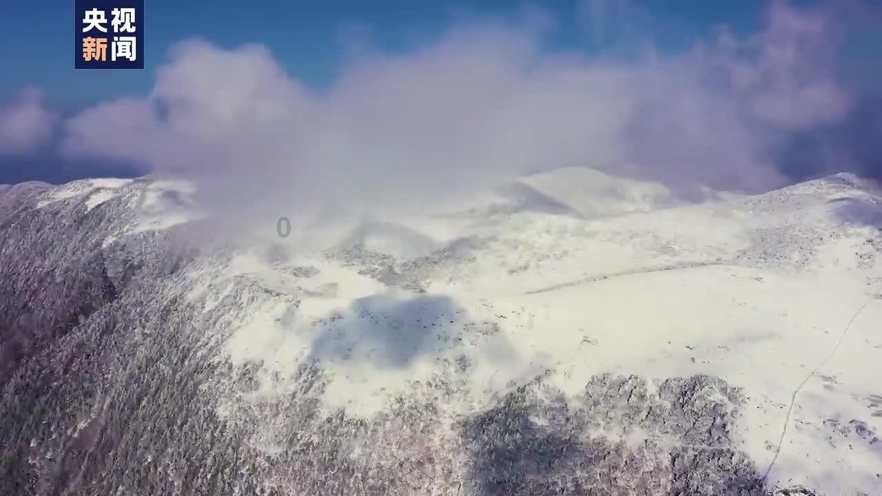僵尸吃怪物
