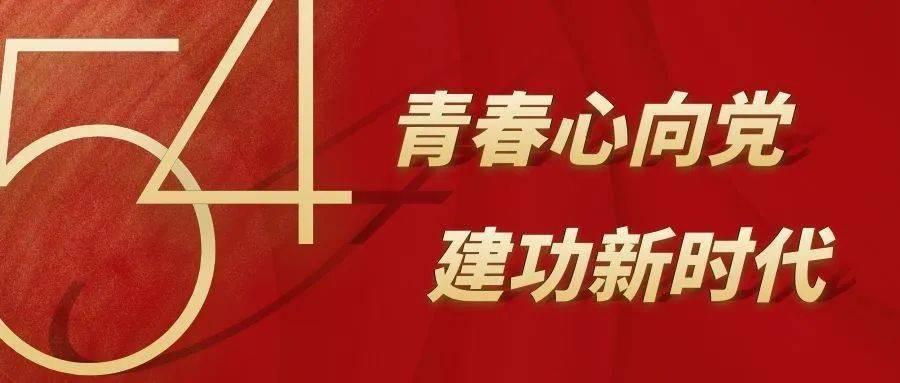 探索奇妙世界,尽在先胖着玩玩的明星,哪些明星胖了之后可以迅速恢复?