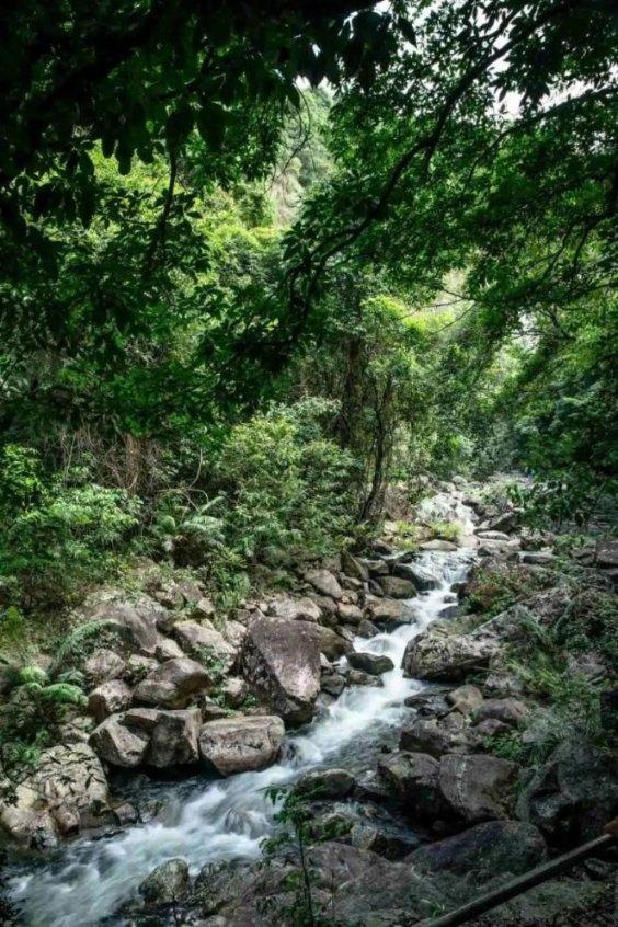 看这款“重庆造”汽车如何成为高端智能网联新能源标杆车型