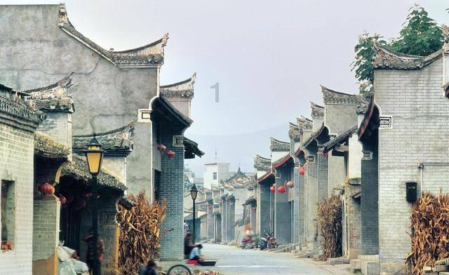 动物帮帮忙保卫家园